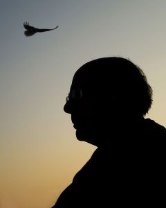 Dennis Sitting with Raven Circling Above Dennis Sitting with Raven Circling Above