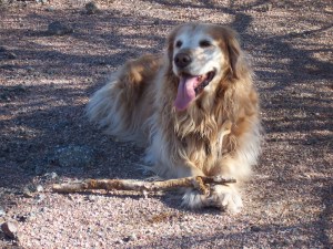 Ella simply waiting in openness